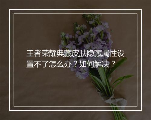 王者荣耀典藏皮肤隐藏属性设置不了怎么办?如何解决?