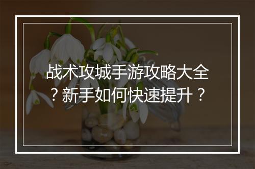 战术攻城手游攻略大全?新手如何快速提升?