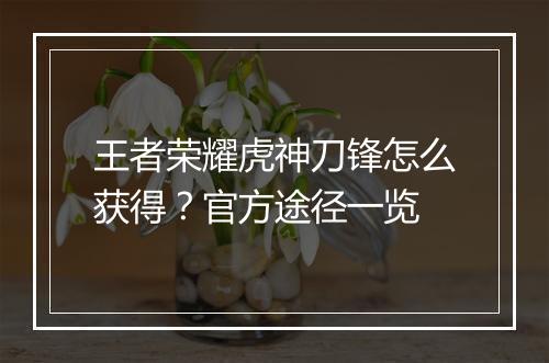 王者荣耀虎神刀锋怎么获得?官方途径一览