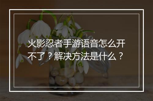 火影忍者手游语音怎么开不了？解决方法是什么？