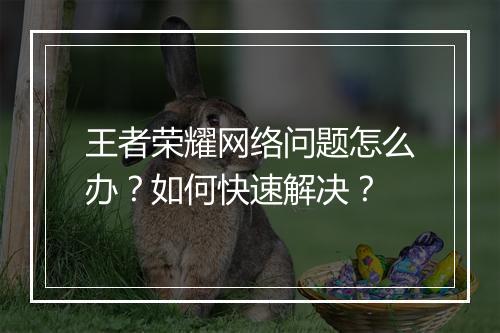 王者荣耀网络问题怎么办?如何快速解决?