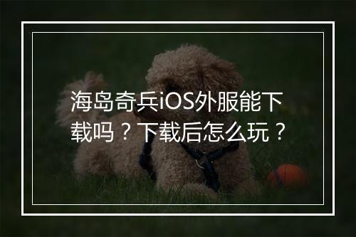 海岛奇兵iOS外服能下载吗?下载后怎么玩?