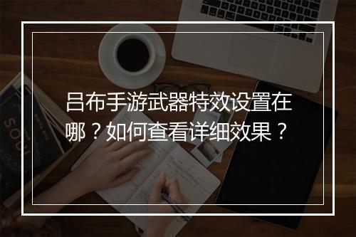 吕布手游武器特效设置在哪?如何查看详细效果?