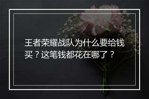 王者荣耀战队为什么要给钱买?这笔钱都花在哪了?
