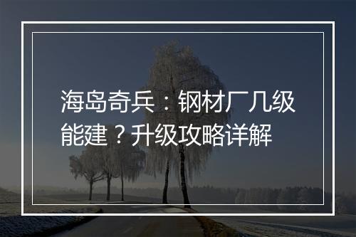 海岛奇兵:钢材厂几级能建?升级攻略详解
