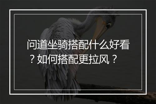 问道坐骑搭配什么好看?如何搭配更拉风?