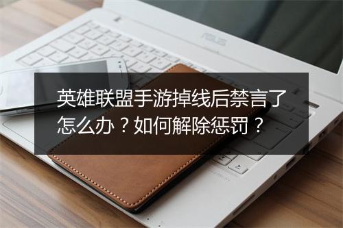 英雄联盟手游掉线后禁言了怎么办?如何解除惩罚?