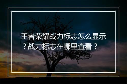 王者荣耀战力标志怎么显示?战力标志在哪里查看?