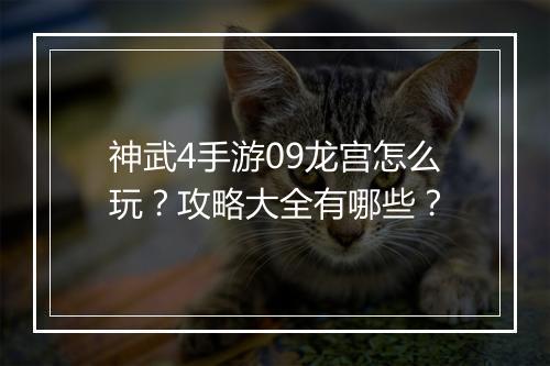 神武4手游09龙宫怎么玩?攻略大全有哪些?