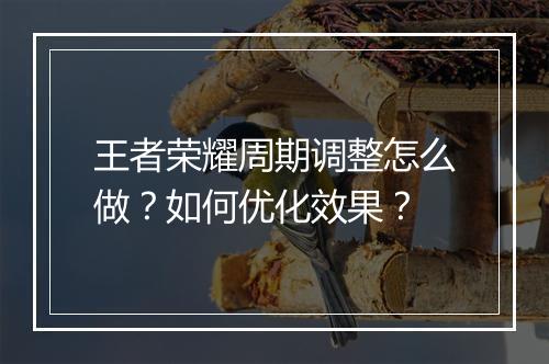 王者荣耀周期调整怎么做?如何优化效果?
