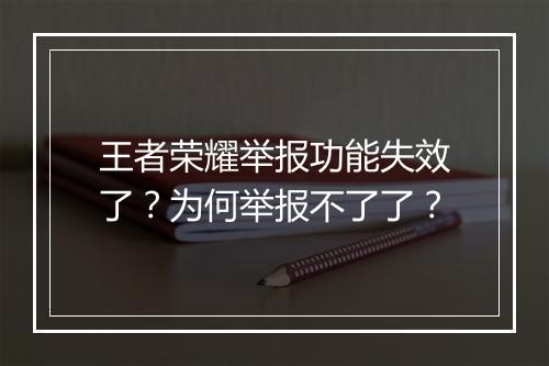 王者荣耀举报功能失效了?为何举报不了了?