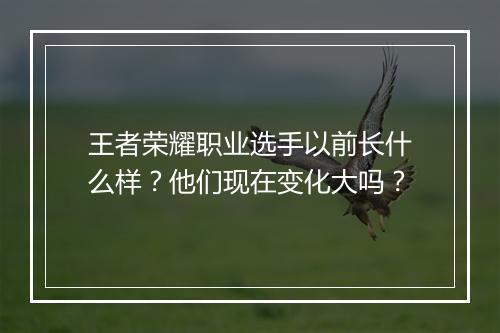 王者荣耀职业选手以前长什么样？他们现在变化大吗？