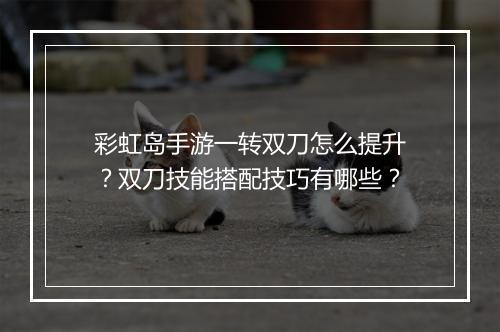 彩虹岛手游一转双刀怎么提升?双刀技能搭配技巧有哪些?