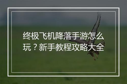 终极飞机降落手游怎么玩?新手教程攻略大全