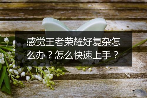 感觉王者荣耀好复杂怎么办？怎么快速上手？