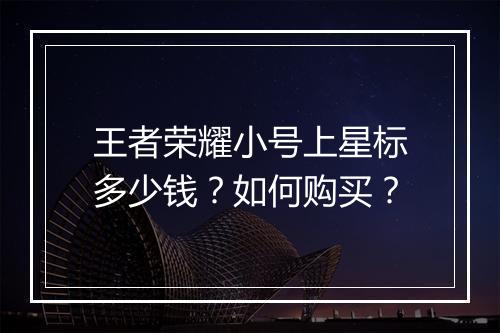 王者荣耀小号上星标多少钱?如何购买?