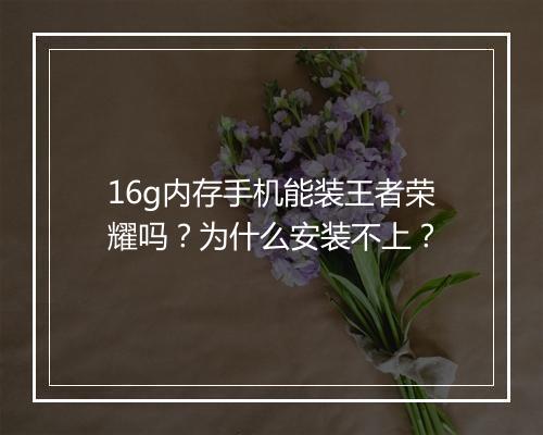16g内存手机能装王者荣耀吗？为什么安装不上？