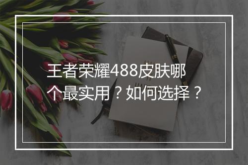 王者荣耀488皮肤哪个最实用?如何选择?