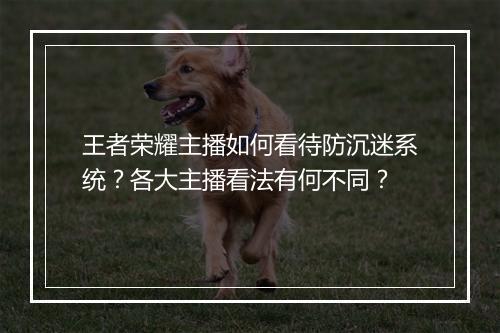 王者荣耀主播如何看待防沉迷系统?各大主播看法有何不同?