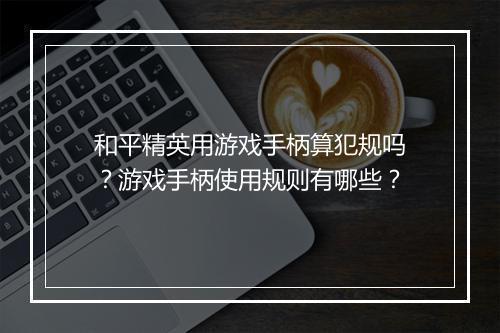 和平精英用游戏手柄算犯规吗?游戏手柄使用规则有哪些?