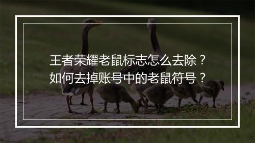 王者荣耀老鼠标志怎么去除?如何去掉账号中的老鼠符号?