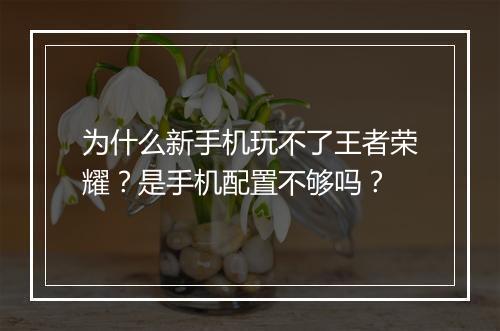 为什么新手机玩不了王者荣耀?是手机配置不够吗?