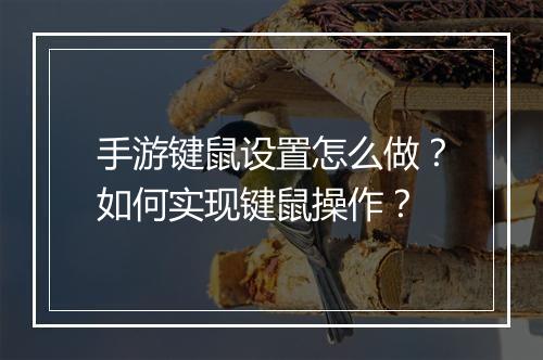 手游键鼠设置怎么做?如何实现键鼠操作?