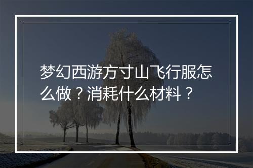 梦幻西游方寸山飞行服怎么做?消耗什么材料?