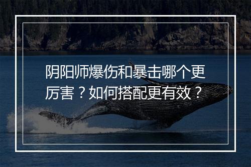 阴阳师爆伤和暴击哪个更厉害?如何搭配更有效?