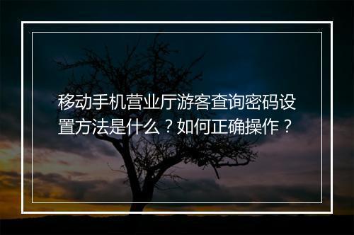 移动手机营业厅游客查询密码设置方法是什么？如何正确操作？