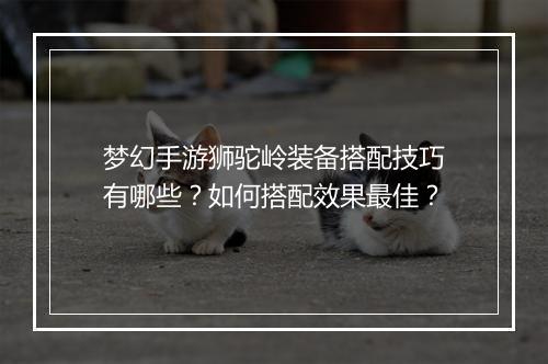 梦幻手游狮驼岭装备搭配技巧有哪些?如何搭配效果最佳?