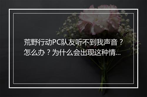 荒野行动PC队友听不到我声音?怎么办?为什么会出现这种情况?