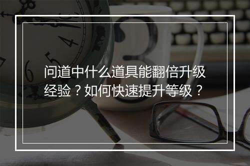 问道中什么道具能翻倍升级经验？如何快速提升等级？