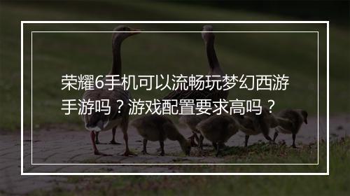 荣耀6手机可以流畅玩梦幻西游手游吗？游戏配置要求高吗？