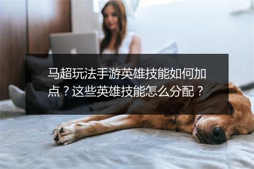 马超玩法手游英雄技能如何加点？这些英雄技能怎么分配？