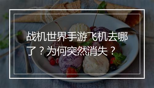 战机世界手游飞机去哪了?为何突然消失?