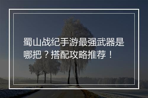 蜀山战纪手游最强武器是哪把?搭配攻略推荐!