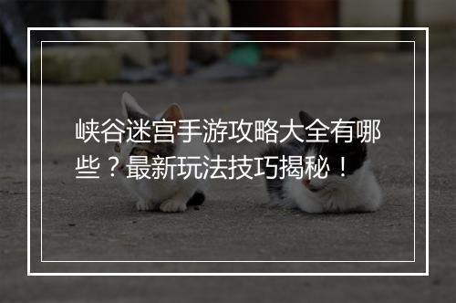 峡谷迷宫手游攻略大全有哪些？最新玩法技巧揭秘！