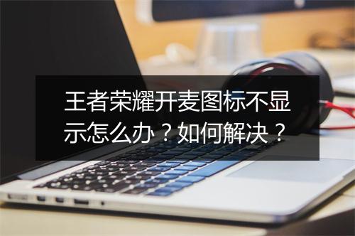 王者荣耀开麦图标不显示怎么办？如何解决？