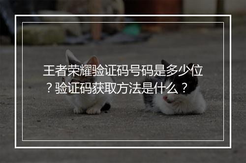 王者荣耀验证码号码是多少位？验证码获取方法是什么？