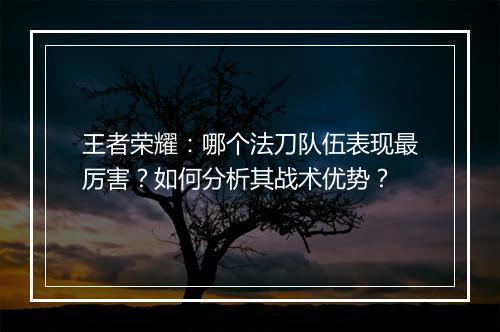 王者荣耀：哪个法刀队伍表现最厉害？如何分析其战术优势？