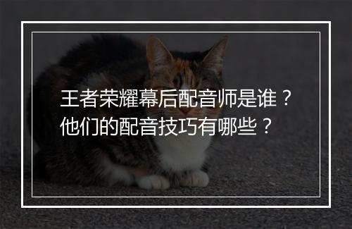 王者荣耀幕后配音师是谁？他们的配音技巧有哪些？