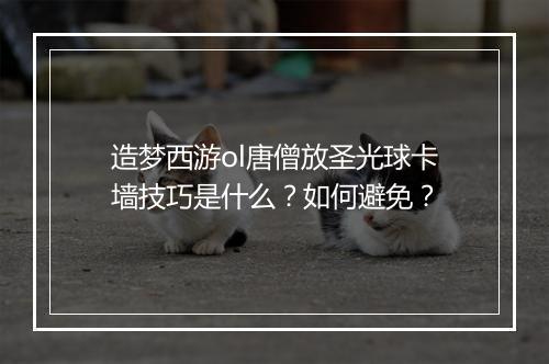 造梦西游ol唐僧放圣光球卡墙技巧是什么?如何避免?