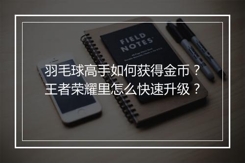 羽毛球高手如何获得金币?王者荣耀里怎么快速升级?