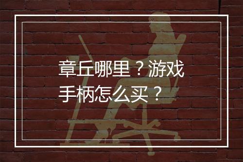 章丘哪里？游戏手柄怎么买？