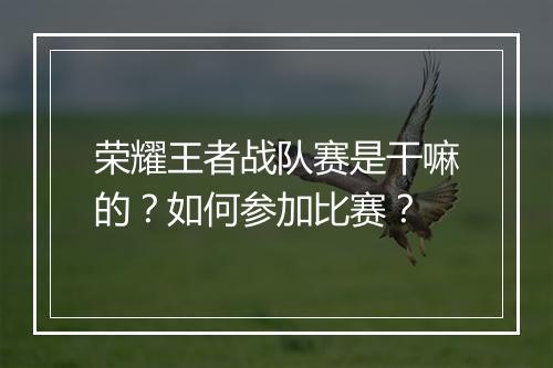 荣耀王者战队赛是干嘛的?如何参加比赛?