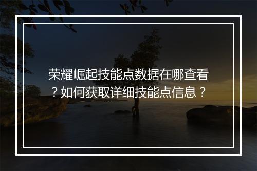 荣耀崛起技能点数据在哪查看?如何获取详细技能点信息?