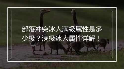 部落冲突冰人满级属性是多少级？满级冰人属性详解！