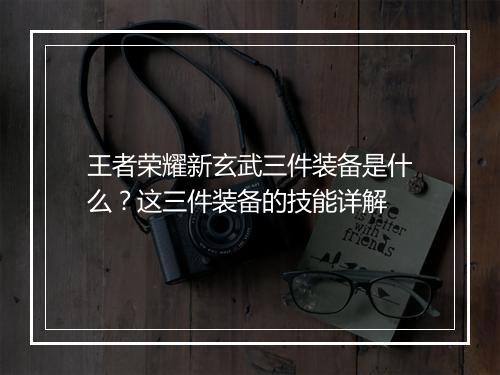 王者荣耀新玄武三件装备是什么?这三件装备的技能详解