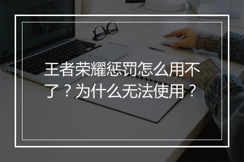 王者荣耀惩罚怎么用不了？为什么无法使用？